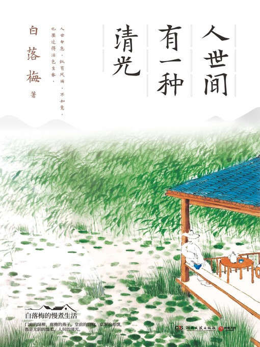 Cover image for 人世间有一种清光